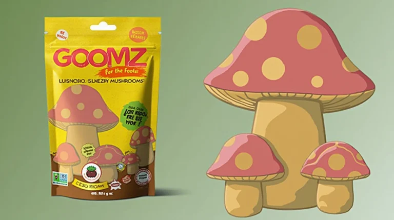 A yellow packaging bag labeled "goomz mushroom gummies" featuring illustrated red and yellow mushrooms, next to a larger digital illustration of similar mushrooms on a green background.